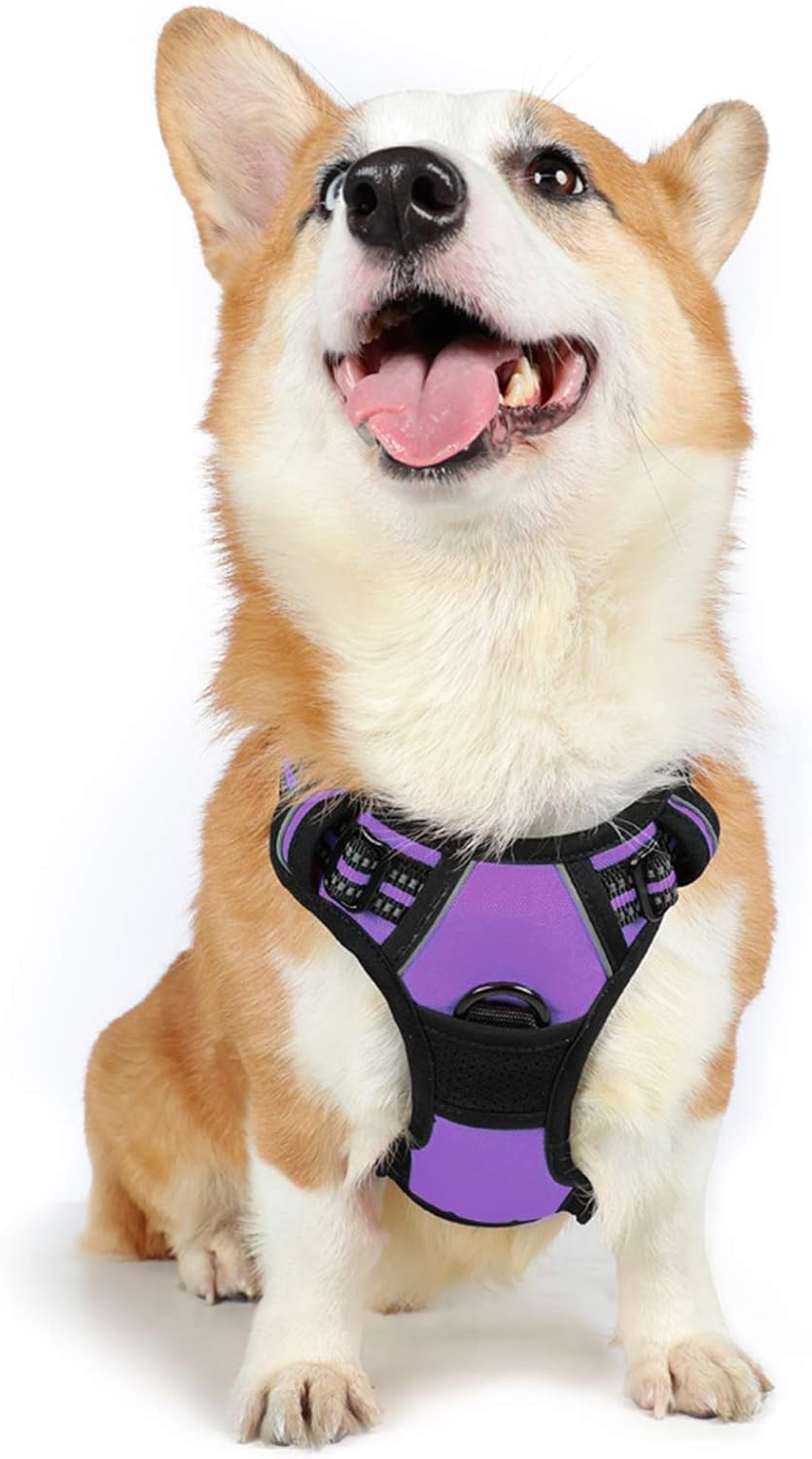 rabbitgoo Dog Harness Large Dog No Pull Pet Harness with 2 Leash Clips, Adjustable Soft Padded Pet Vest, Reflective No-Choke with Easy Control Handle for Training or Walking, Red, L - Comfort Style