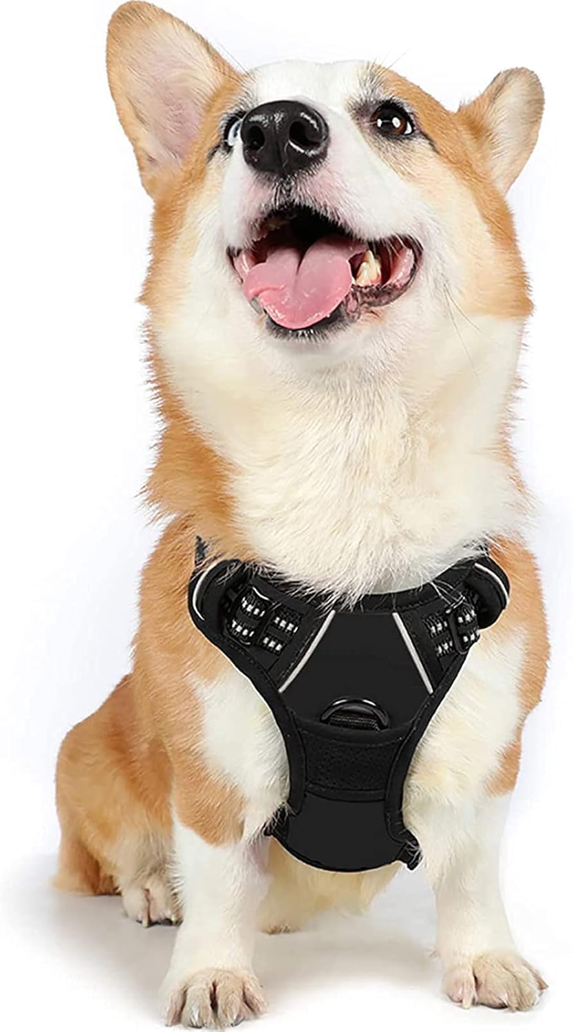 rabbitgoo Dog Harness Large Dog No Pull Pet Harness with 2 Leash Clips, Adjustable Soft Padded Pet Vest, Reflective No-Choke with Easy Control Handle for Training or Walking, Red, L - Comfort Style
