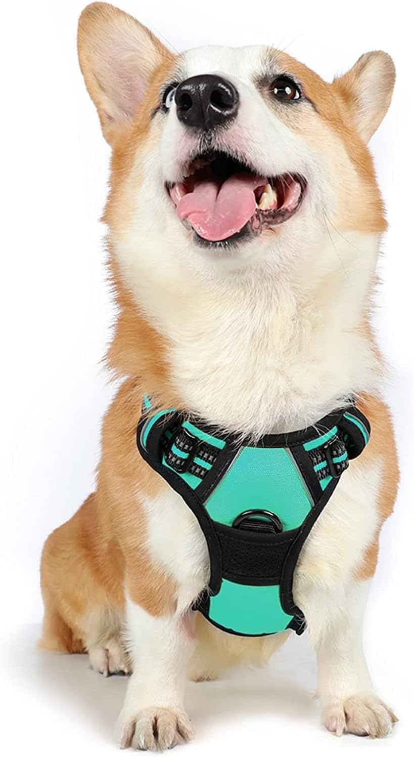 rabbitgoo Dog Harness Large Dog No Pull Pet Harness with 2 Leash Clips, Adjustable Soft Padded Pet Vest, Reflective No-Choke with Easy Control Handle for Training or Walking, Red, L - Comfort Style