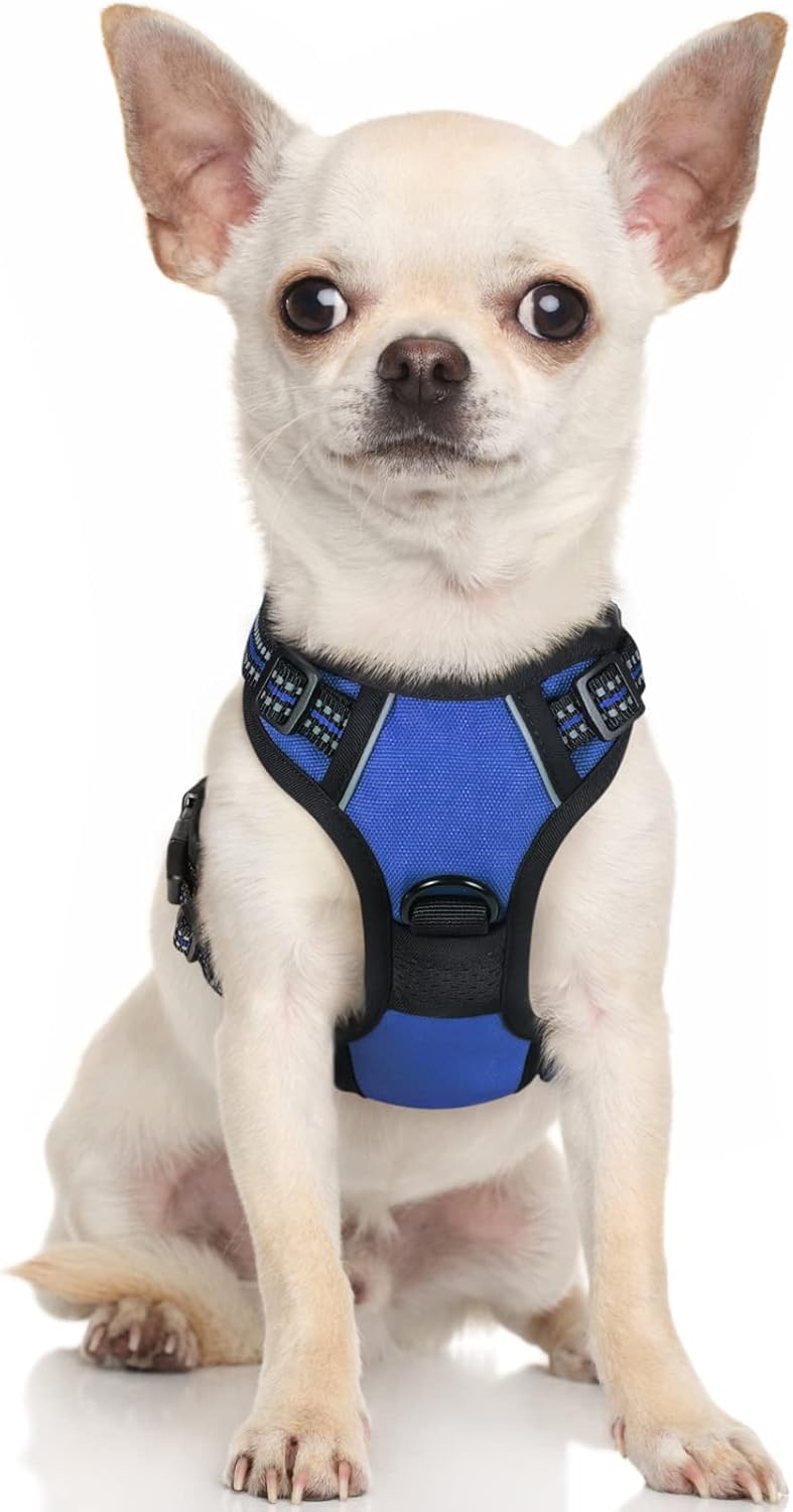 rabbitgoo Dog Harness Large Dog No Pull Pet Harness with 2 Leash Clips, Adjustable Soft Padded Pet Vest, Reflective No-Choke with Easy Control Handle for Training or Walking, Red, L - Comfort Style