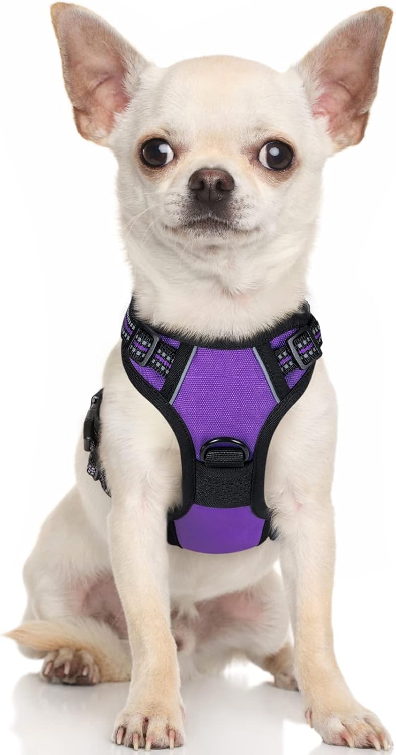rabbitgoo Dog Harness Large Dog No Pull Pet Harness with 2 Leash Clips, Adjustable Soft Padded Pet Vest, Reflective No-Choke with Easy Control Handle for Training or Walking, Red, L - Comfort Style