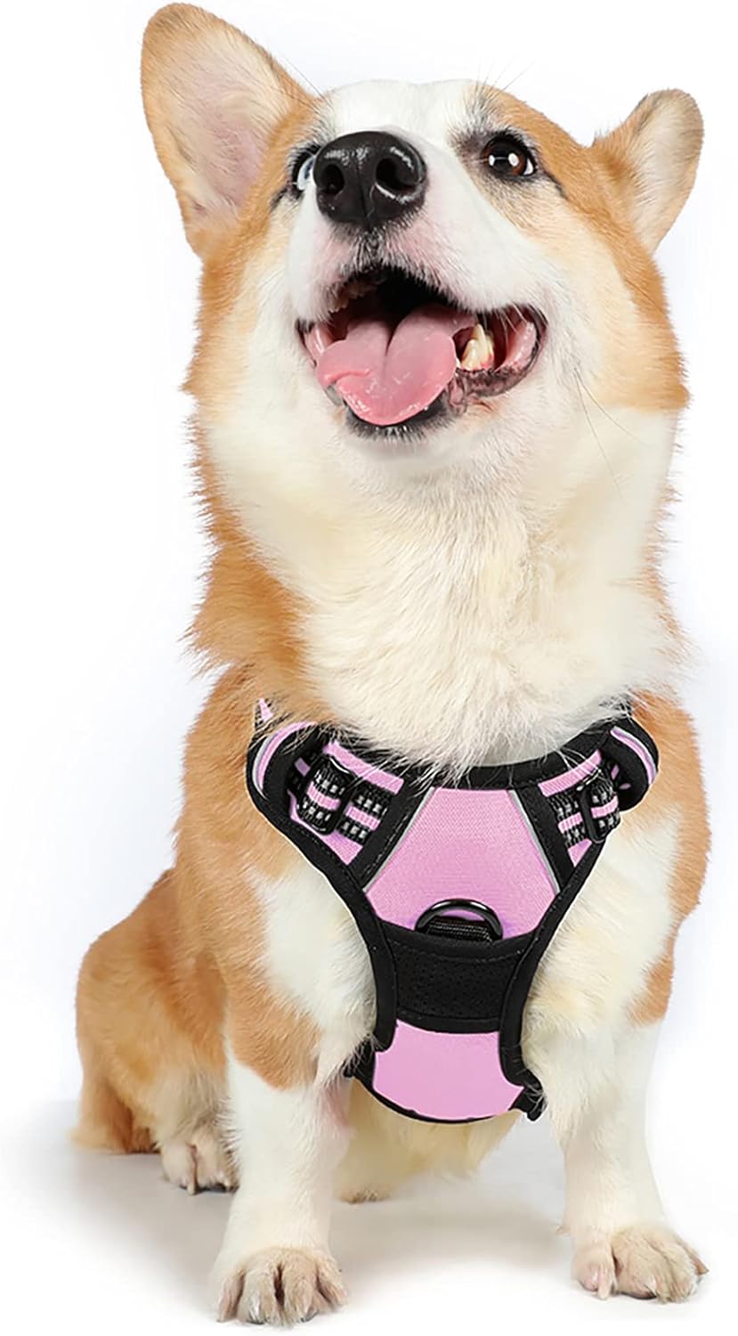 rabbitgoo Dog Harness Large Dog No Pull Pet Harness with 2 Leash Clips, Adjustable Soft Padded Pet Vest, Reflective No-Choke with Easy Control Handle for Training or Walking, Red, L - Comfort Style