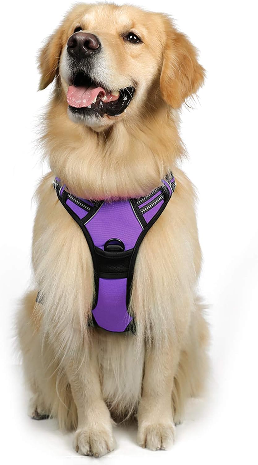 rabbitgoo Dog Harness Large Dog No Pull Pet Harness with 2 Leash Clips, Adjustable Soft Padded Pet Vest, Reflective No-Choke with Easy Control Handle for Training or Walking, Red, L - Comfort Style