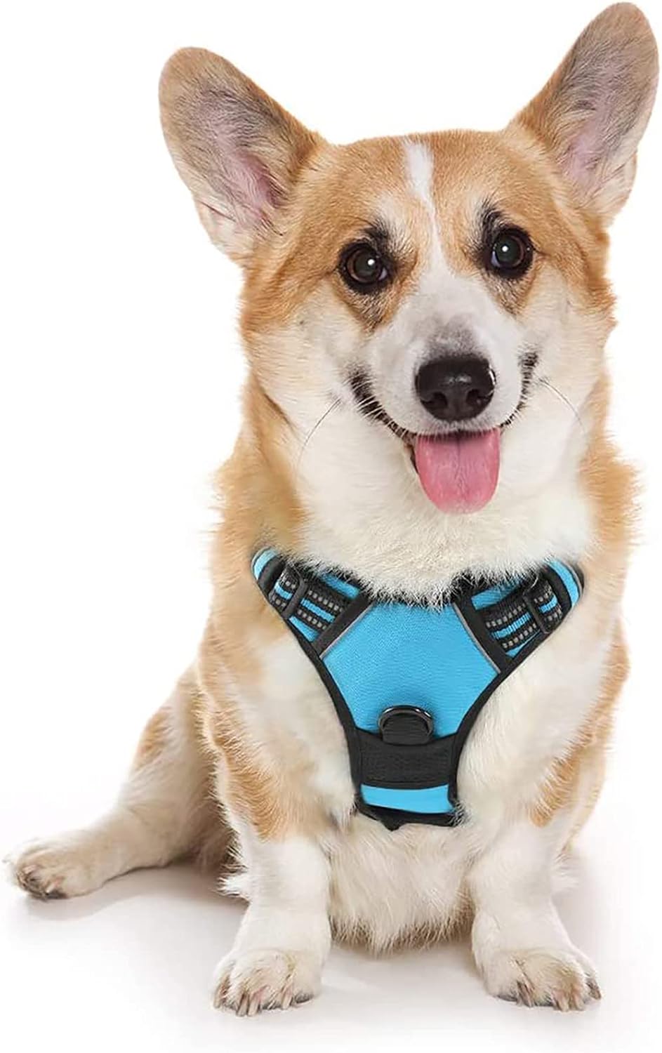 rabbitgoo Dog Harness Large Dog No Pull Pet Harness with 2 Leash Clips, Adjustable Soft Padded Pet Vest, Reflective No-Choke with Easy Control Handle for Training or Walking, Red, L - Comfort Style