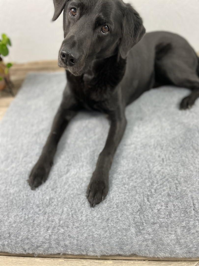 SOUL DESTINY Traditional Grey High-Grade Vet Bedding 30mm Cut in Squares & Rolls. THICK WHELPING FLEECE DOG PUPPY PRO BED - Comfort Style