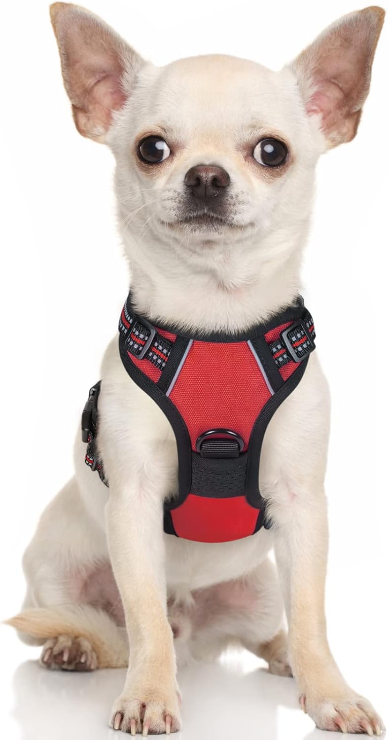 rabbitgoo Dog Harness Large Dog No Pull Pet Harness with 2 Leash Clips, Adjustable Soft Padded Pet Vest, Reflective No-Choke with Easy Control Handle for Training or Walking, Red, L - Comfort Style