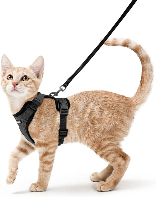 rabbitgoo Cat Harness and Lead Set, Escape Proof Kitten Harness with Leash, Metal Ring, Lightweight Soft, Reflective Adjustable Vest for Small Cat Walking Travel XS, Black - Comfort Style