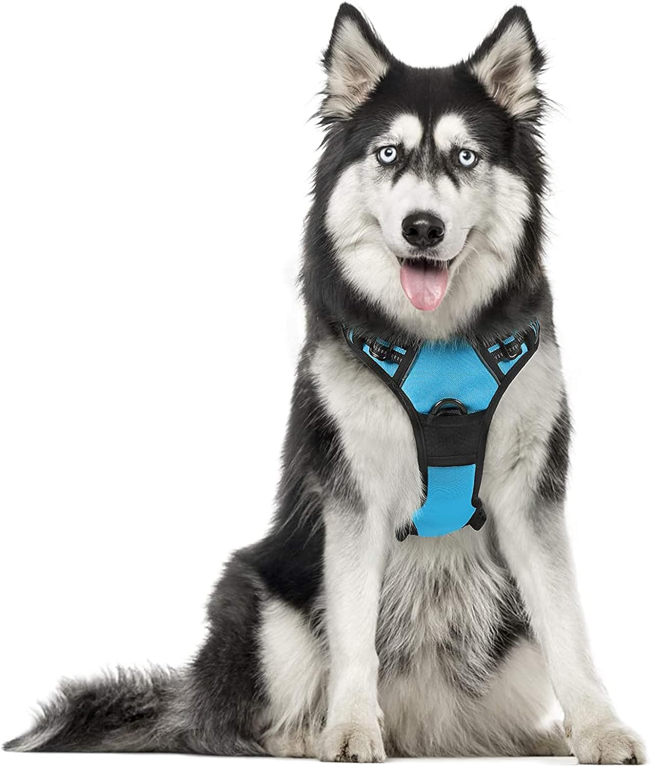 rabbitgoo Dog Harness Large Dog No Pull Pet Harness with 2 Leash Clips, Adjustable Soft Padded Pet Vest, Reflective No-Choke with Easy Control Handle for Training or Walking, Red, L - Comfort Style