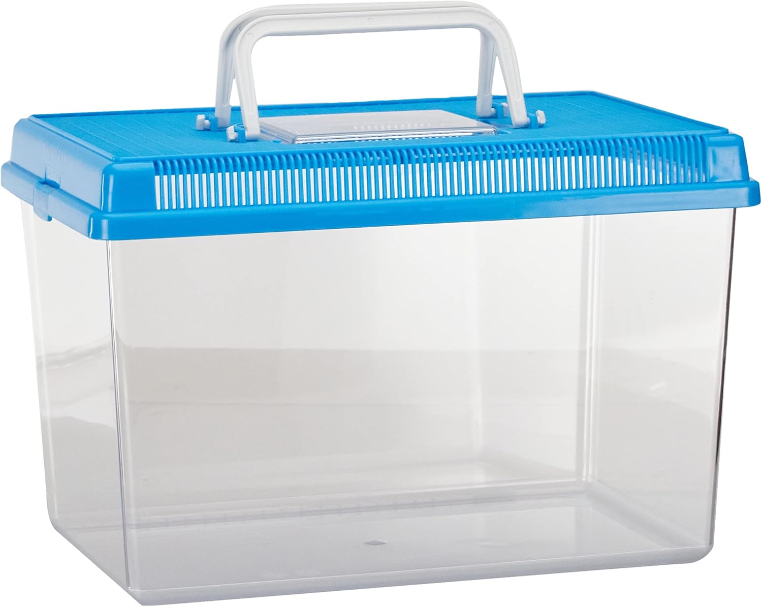Ferplast Plastic Fish Aquarium GEO Medium Tank 2,5 L Small Animal Container Aquarium Terrarium Insects Turtles, Plastic, Ventilation Grills, Handle for Easy Transport, 23,2 x 15,3 x h 16,6 cm Green - Comfort Style