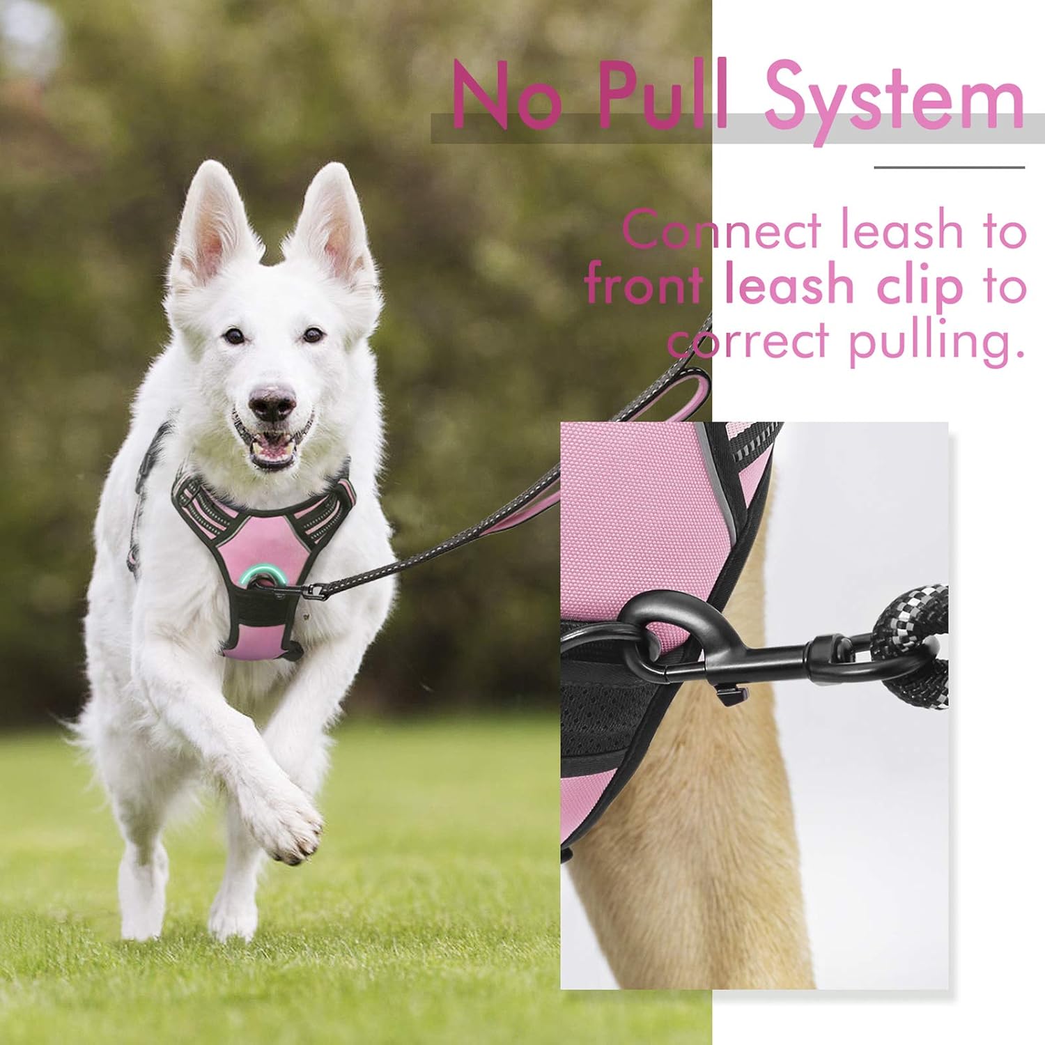 rabbitgoo Dog Harness Large Dog No Pull Pet Harness with 2 Leash Clips, Adjustable Soft Padded Pet Vest, Reflective No-Choke with Easy Control Handle for Training or Walking, Red, L - Comfort Style