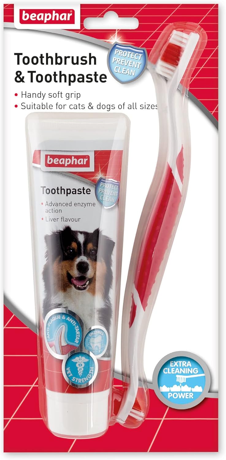 Beaphar | Toothbrush & Toothpaste Dental Care Kit | for Dogs & Cats | Includes A Double-Ended Toothbrush & Liver-Flavoured Enzymatic Toothpaste, 100g Tube, 2 Count (Pack of 1)