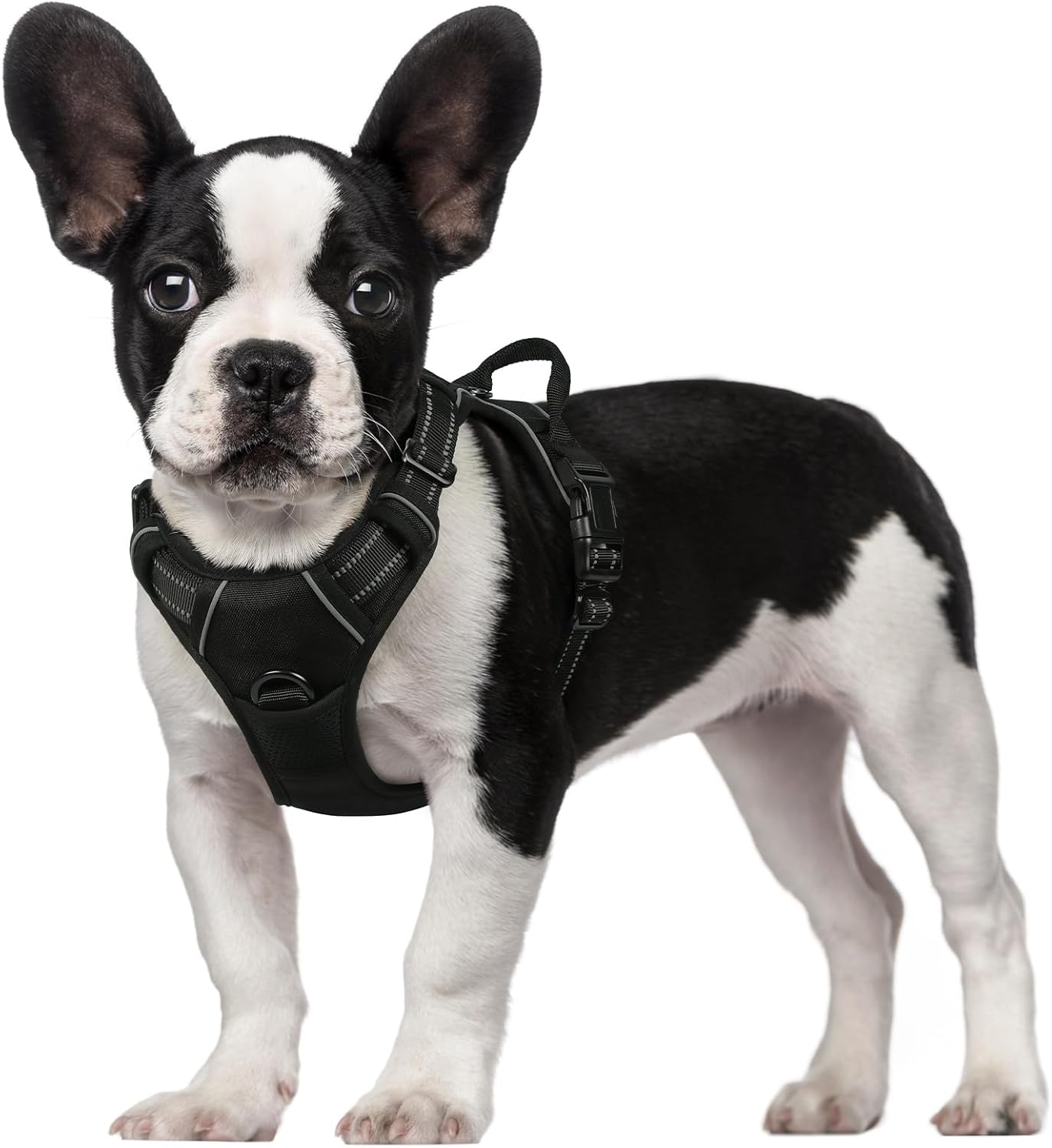 rabbitgoo Dog Harness Large Dog No Pull Pet Harness with 2 Leash Clips, Adjustable Soft Padded Pet Vest, Reflective No-Choke with Easy Control Handle for Training or Walking, Red, L - Comfort Style