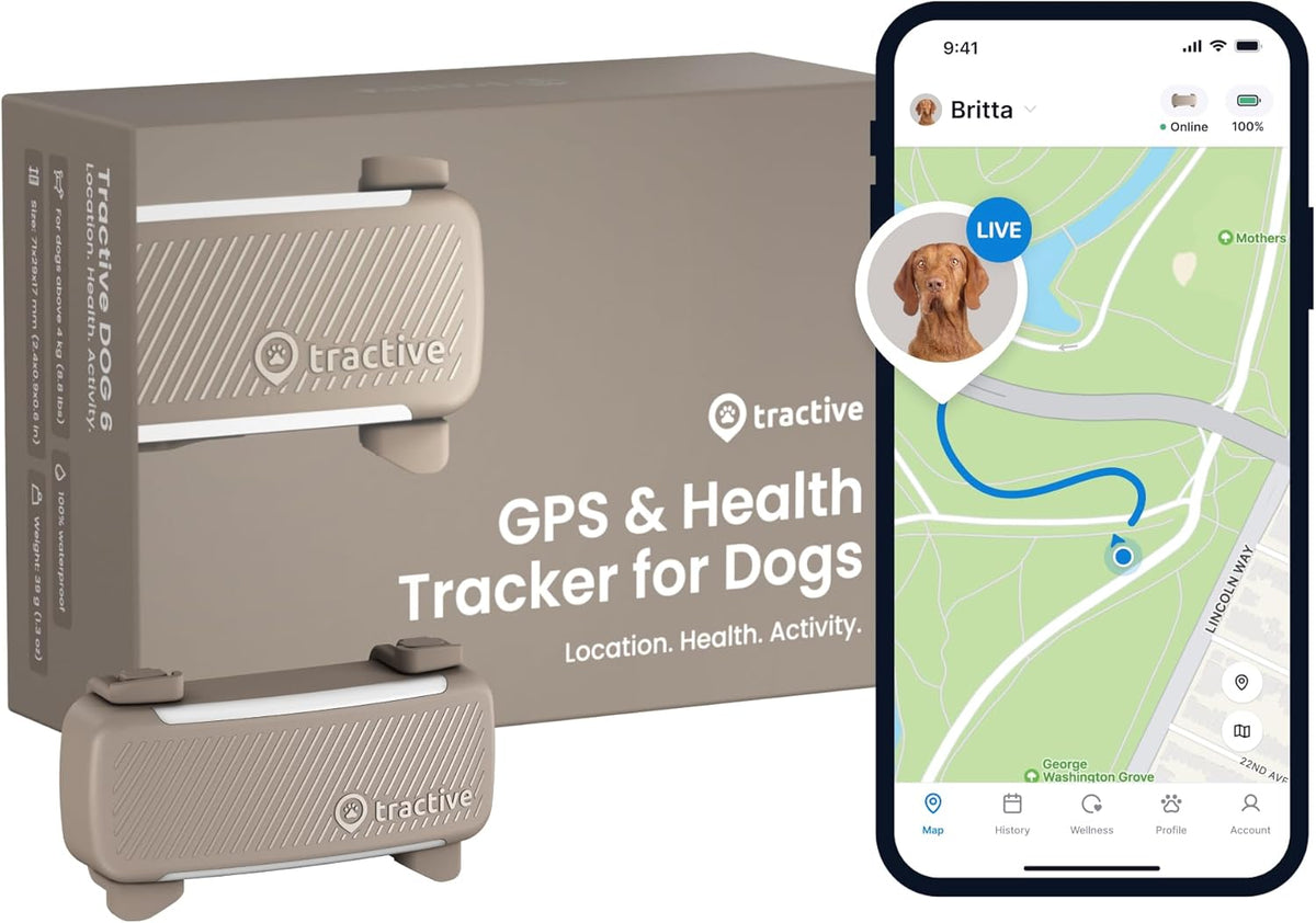 Tractive GPS Dog Tracker | Market leader | Real-time location tracking | Escape Alerts | Activity Monitoring | Health Alerts | Bark Monitoring | Works With Subscription (Black) - Comfort Style