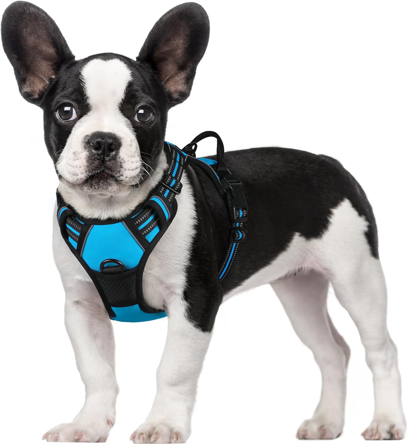 rabbitgoo Dog Harness Large Dog No Pull Pet Harness with 2 Leash Clips, Adjustable Soft Padded Pet Vest, Reflective No-Choke with Easy Control Handle for Training or Walking, Red, L - Comfort Style