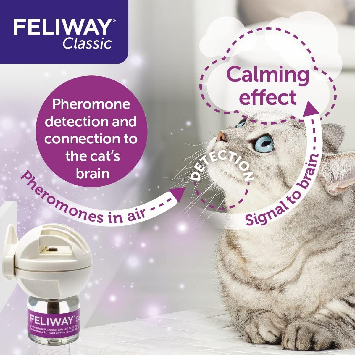 Feliway Classic 20ml Spray, 20ml Anxiety Relief Feliway Classic Pheromone Spray For Cats With Approximately 16 Uses, Calm Your Cat And Reduce Behavioural Issues And Stress With Feliway Classic - Comfort Style