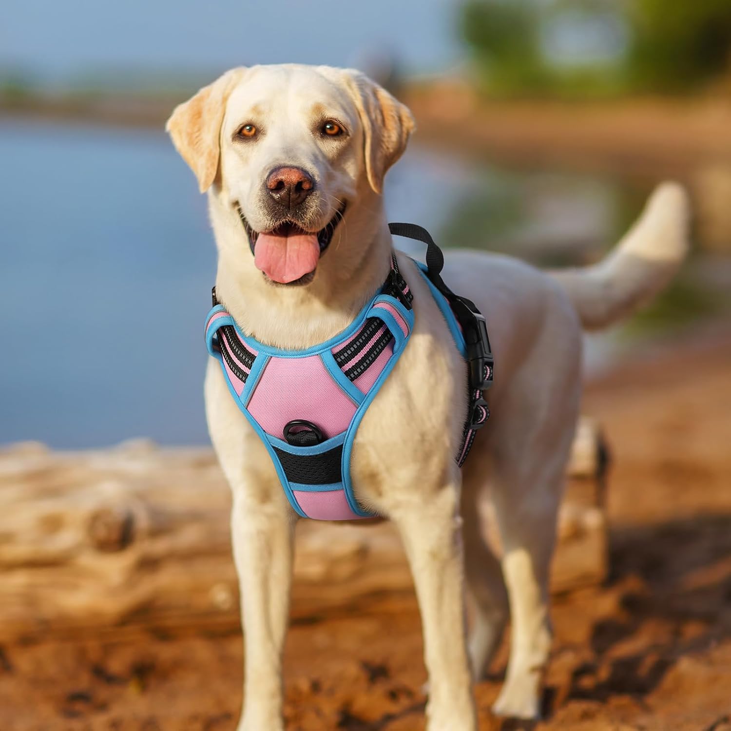 rabbitgoo Dog Harness Large Dog No Pull Pet Harness with 2 Leash Clips, Adjustable Soft Padded Pet Vest, Reflective No-Choke with Easy Control Handle for Training or Walking, Red, L - Comfort Style