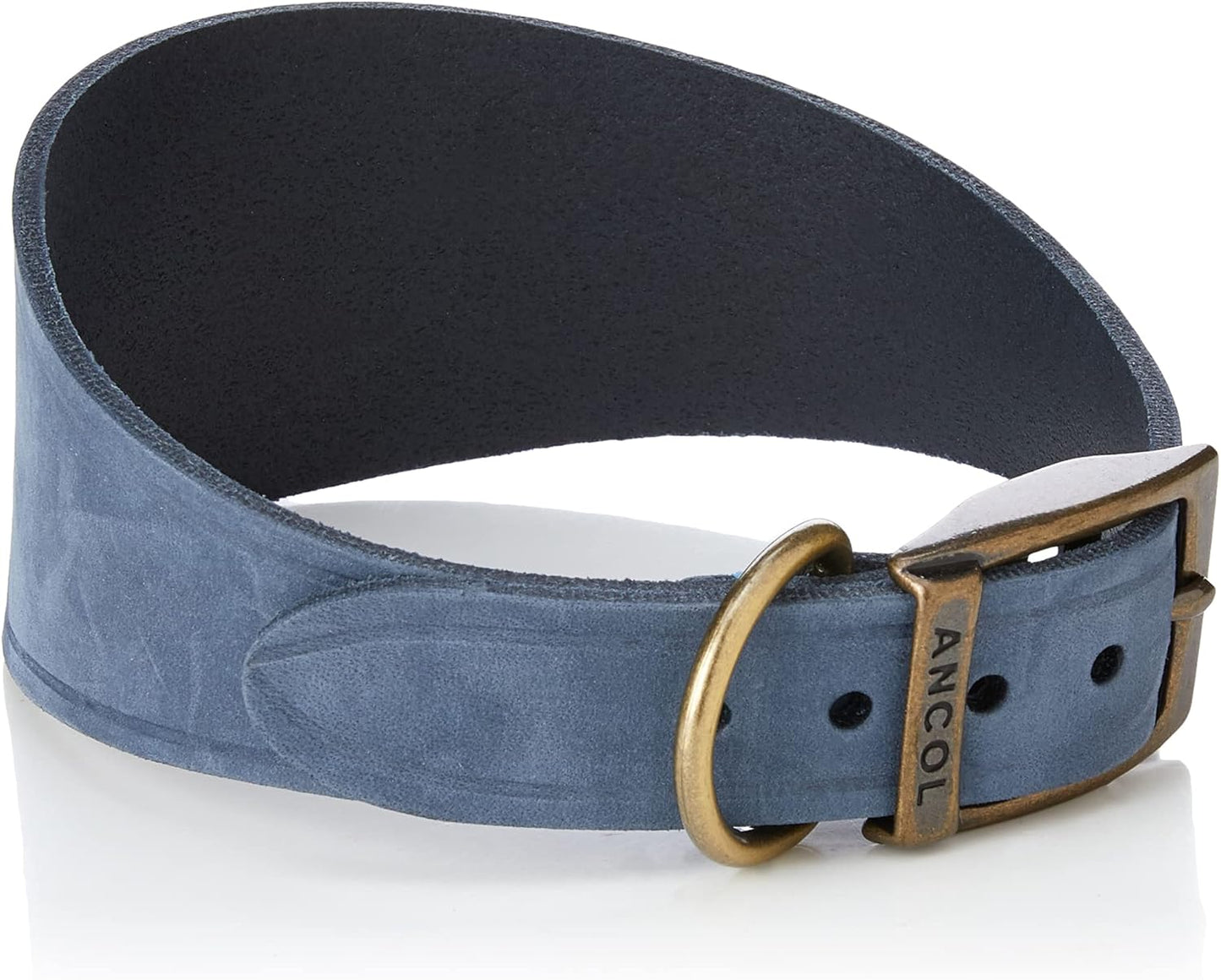 Ancol Timberwolf Greyhound Leather Dog Collar in Blue - Top Grain Bridle Leather Secure Pet Training Neckband - 34-43cm