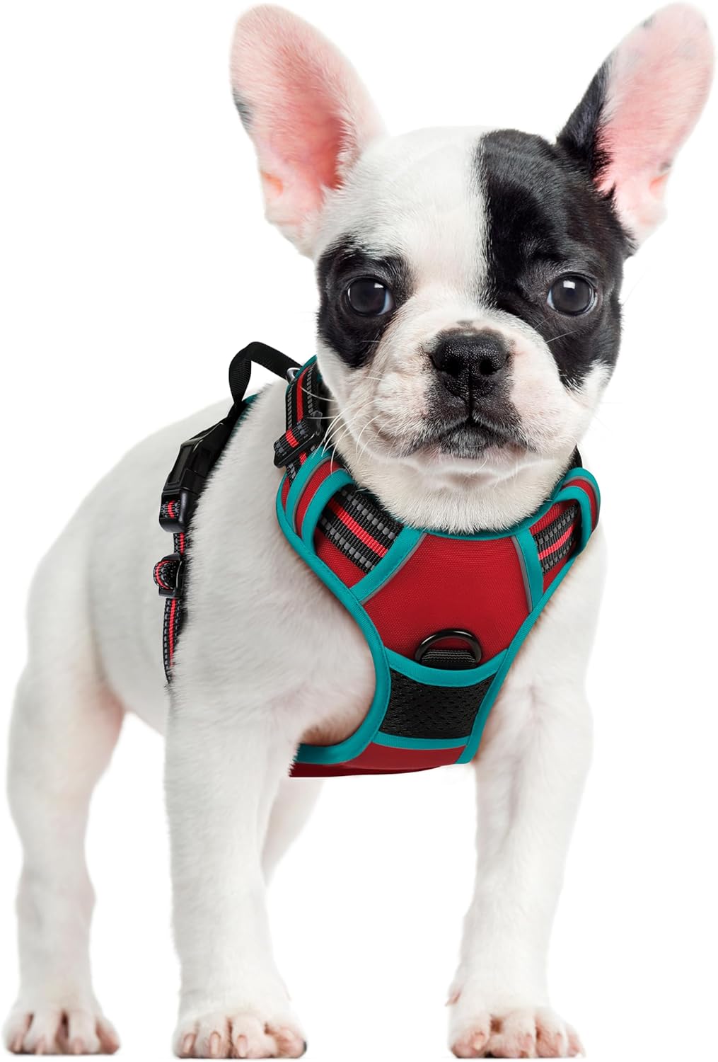 rabbitgoo Dog Harness Large Dog No Pull Pet Harness with 2 Leash Clips, Adjustable Soft Padded Pet Vest, Reflective No-Choke with Easy Control Handle for Training or Walking, Red, L - Comfort Style