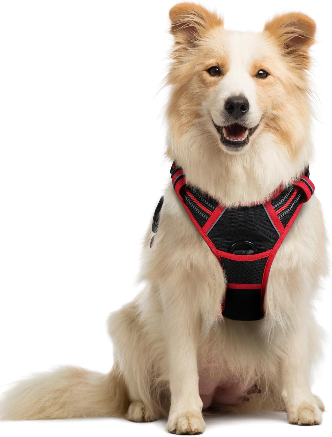 rabbitgoo Dog Harness Large Dog No Pull Pet Harness with 2 Leash Clips, Adjustable Soft Padded Pet Vest, Reflective No-Choke with Easy Control Handle for Training or Walking, Red, L - Comfort Style