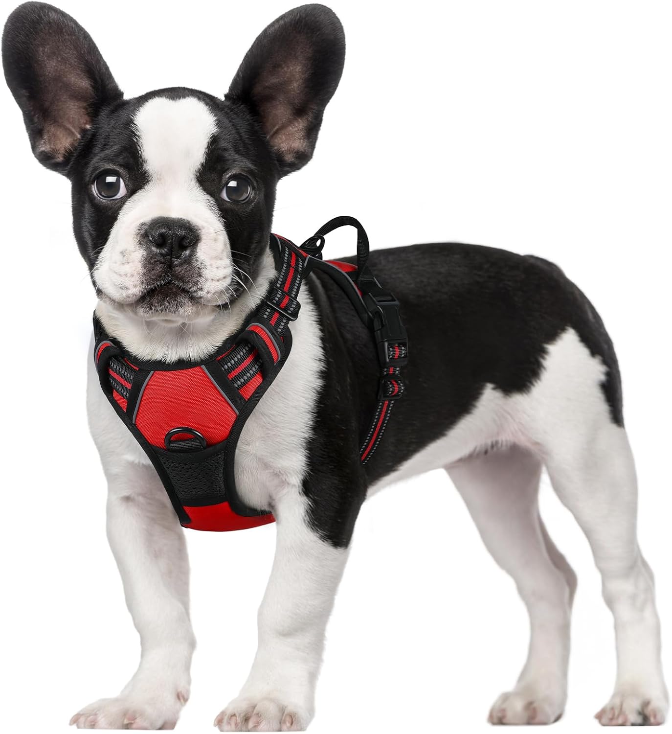 rabbitgoo Dog Harness Large Dog No Pull Pet Harness with 2 Leash Clips, Adjustable Soft Padded Pet Vest, Reflective No-Choke with Easy Control Handle for Training or Walking, Red, L - Comfort Style