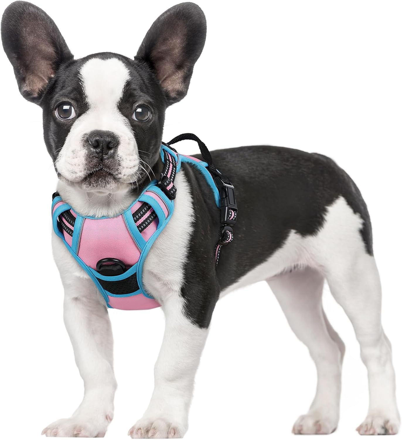 rabbitgoo Dog Harness Large Dog No Pull Pet Harness with 2 Leash Clips, Adjustable Soft Padded Pet Vest, Reflective No-Choke with Easy Control Handle for Training or Walking, Red, L - Comfort Style