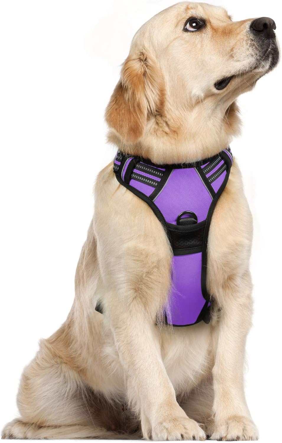 rabbitgoo Dog Harness Large Dog No Pull Pet Harness with 2 Leash Clips, Adjustable Soft Padded Pet Vest, Reflective No-Choke with Easy Control Handle for Training or Walking, Red, L - Comfort Style