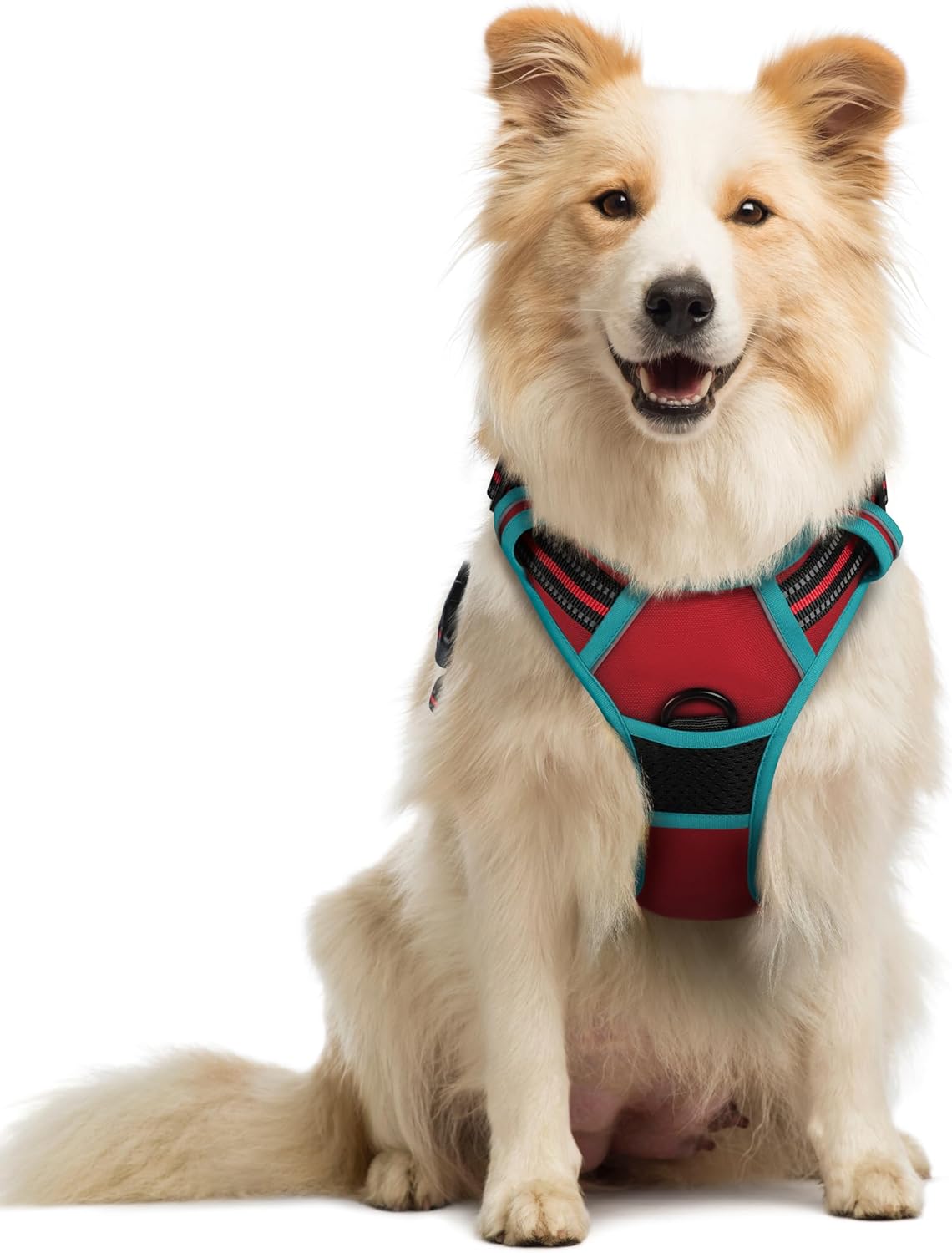 rabbitgoo Dog Harness Large Dog No Pull Pet Harness with 2 Leash Clips, Adjustable Soft Padded Pet Vest, Reflective No-Choke with Easy Control Handle for Training or Walking, Red, L - Comfort Style