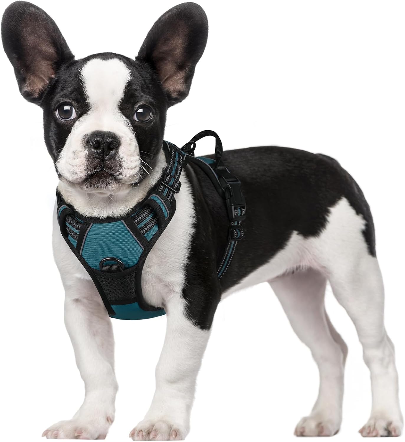 rabbitgoo Dog Harness Large Dog No Pull Pet Harness with 2 Leash Clips, Adjustable Soft Padded Pet Vest, Reflective No-Choke with Easy Control Handle for Training or Walking, Red, L - Comfort Style