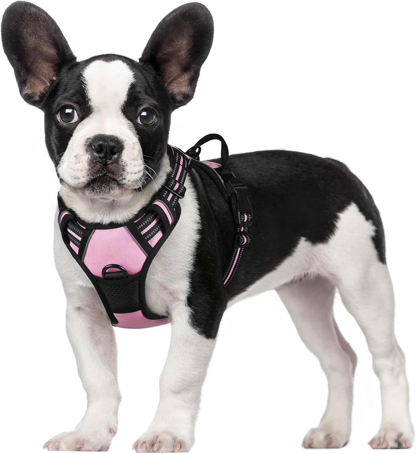 rabbitgoo Dog Harness Large Dog No Pull Pet Harness with 2 Leash Clips, Adjustable Soft Padded Pet Vest, Reflective No-Choke with Easy Control Handle for Training or Walking, Red, L - Comfort Style