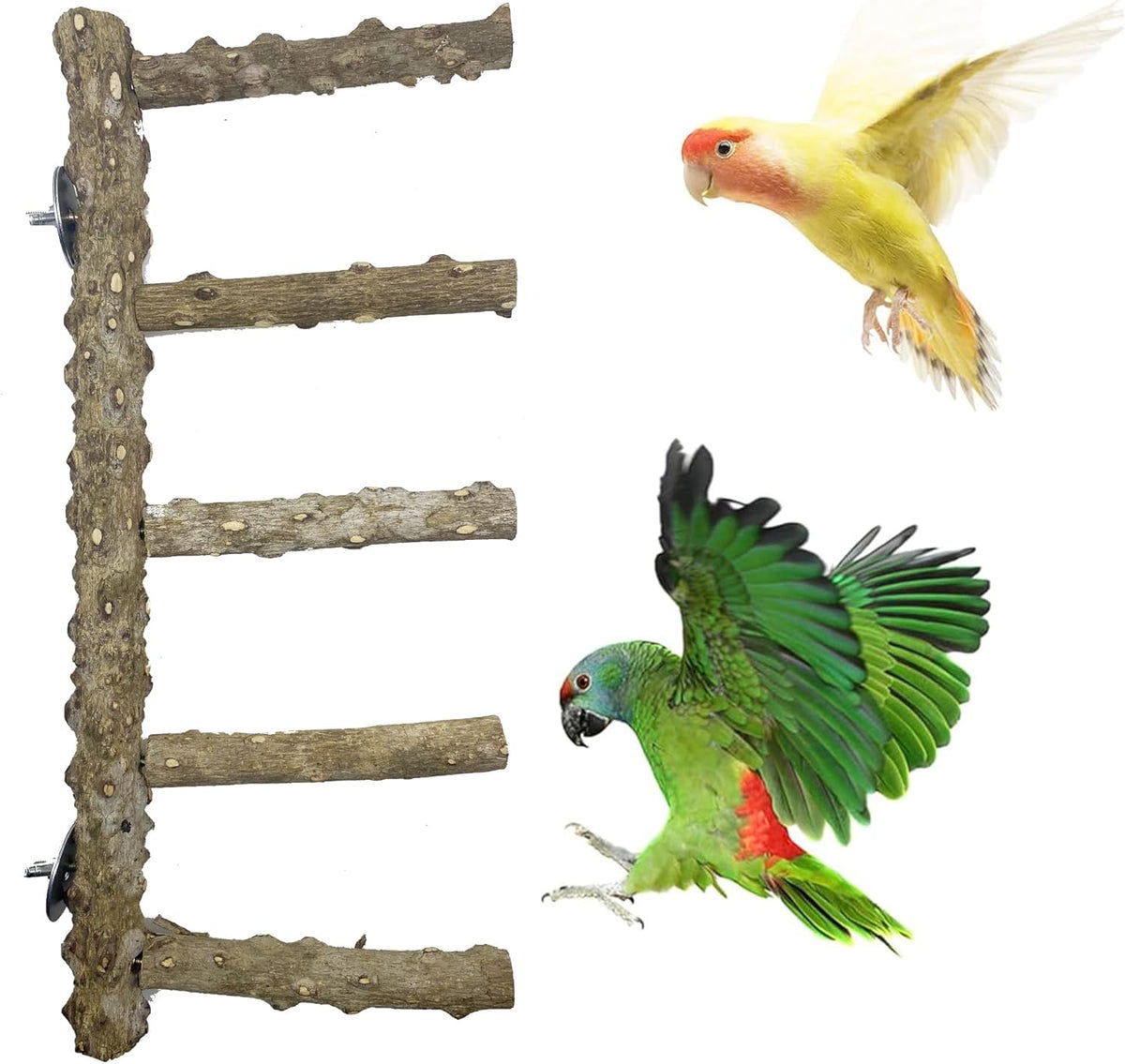 Allazone 5 PCS Natural Wooden Parrot Stand Bird Perch Stand Grape Stick Hanging Multi Branch Perch for Parrots, Bird Cage Accessories - Comfort Style