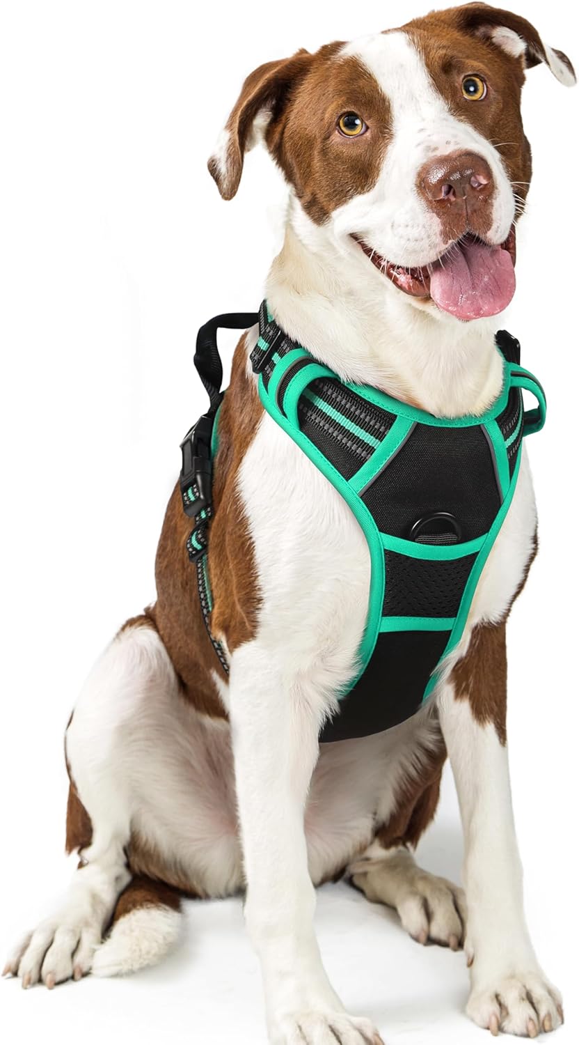 rabbitgoo Dog Harness Large Dog No Pull Pet Harness with 2 Leash Clips, Adjustable Soft Padded Pet Vest, Reflective No-Choke with Easy Control Handle for Training or Walking, Red, L - Comfort Style