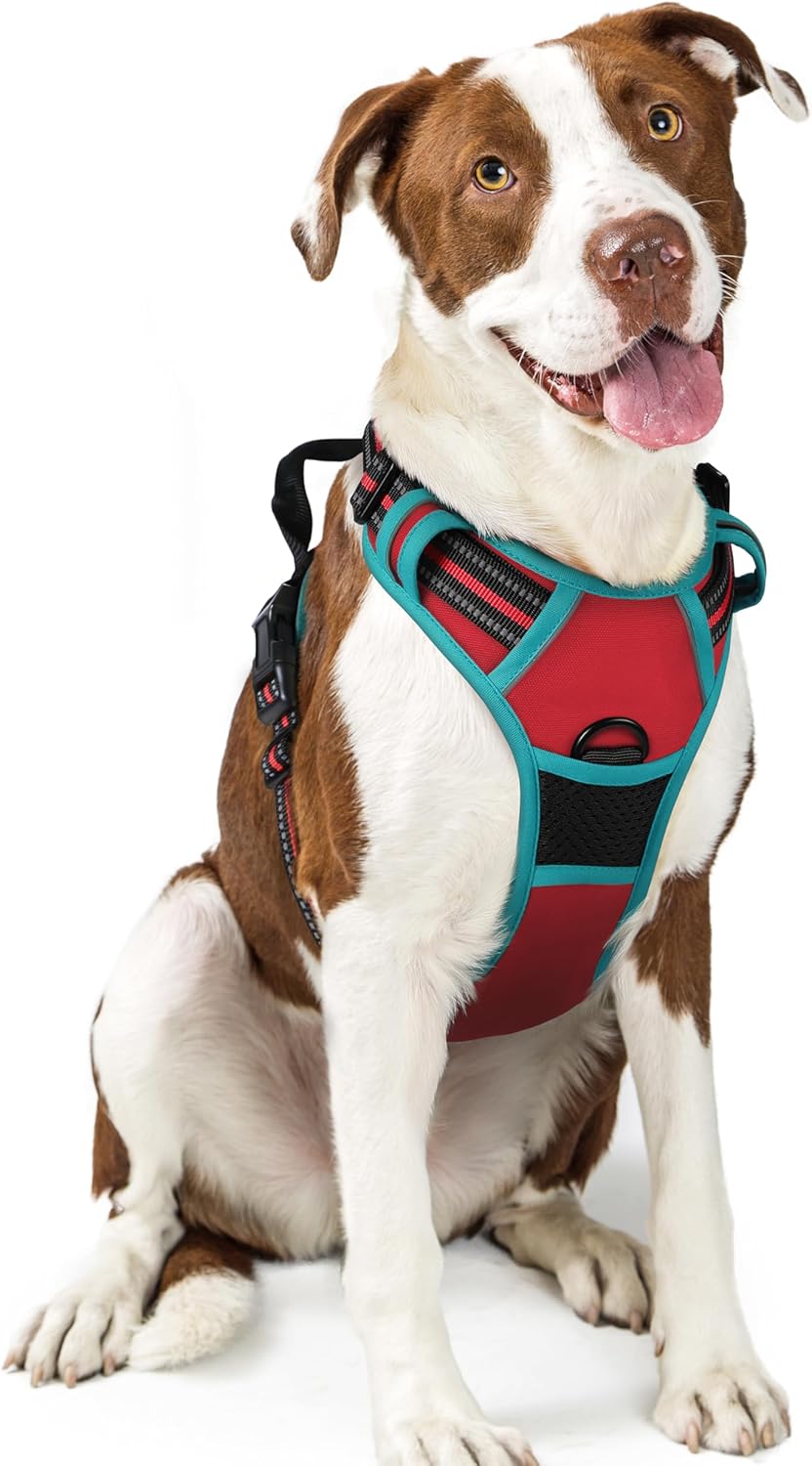 rabbitgoo Dog Harness Large Dog No Pull Pet Harness with 2 Leash Clips, Adjustable Soft Padded Pet Vest, Reflective No-Choke with Easy Control Handle for Training or Walking, Red, L - Comfort Style