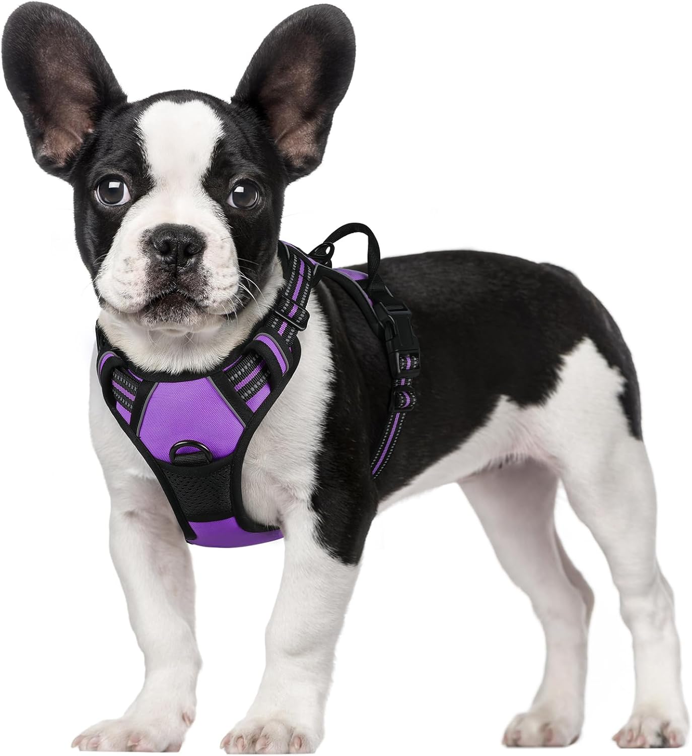 rabbitgoo Dog Harness Large Dog No Pull Pet Harness with 2 Leash Clips, Adjustable Soft Padded Pet Vest, Reflective No-Choke with Easy Control Handle for Training or Walking, Red, L - Comfort Style