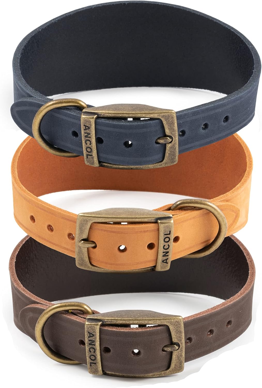 Ancol Timberwolf Greyhound Leather Dog Collar in Blue - Top Grain Bridle Leather Secure Pet Training Neckband - 34-43cm