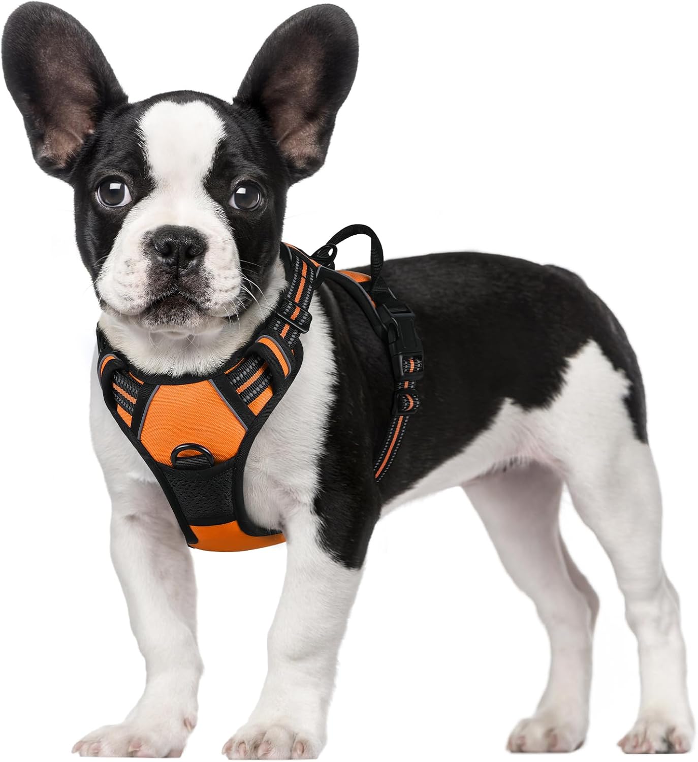 rabbitgoo Dog Harness Large Dog No Pull Pet Harness with 2 Leash Clips, Adjustable Soft Padded Pet Vest, Reflective No-Choke with Easy Control Handle for Training or Walking, Red, L - Comfort Style