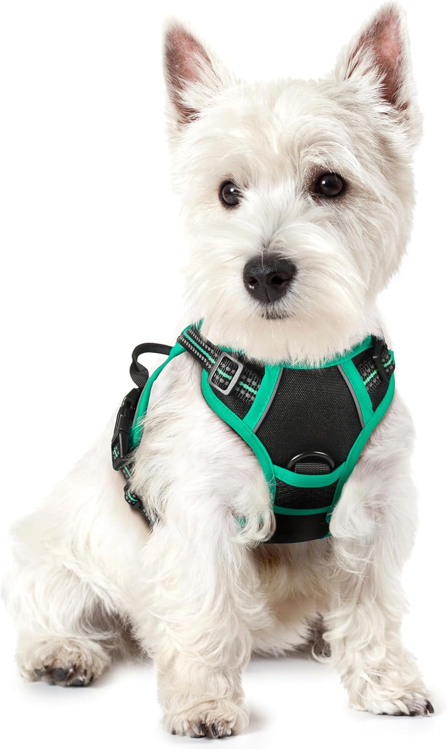 rabbitgoo Dog Harness Large Dog No Pull Pet Harness with 2 Leash Clips, Adjustable Soft Padded Pet Vest, Reflective No-Choke with Easy Control Handle for Training or Walking, Red, L - Comfort Style
