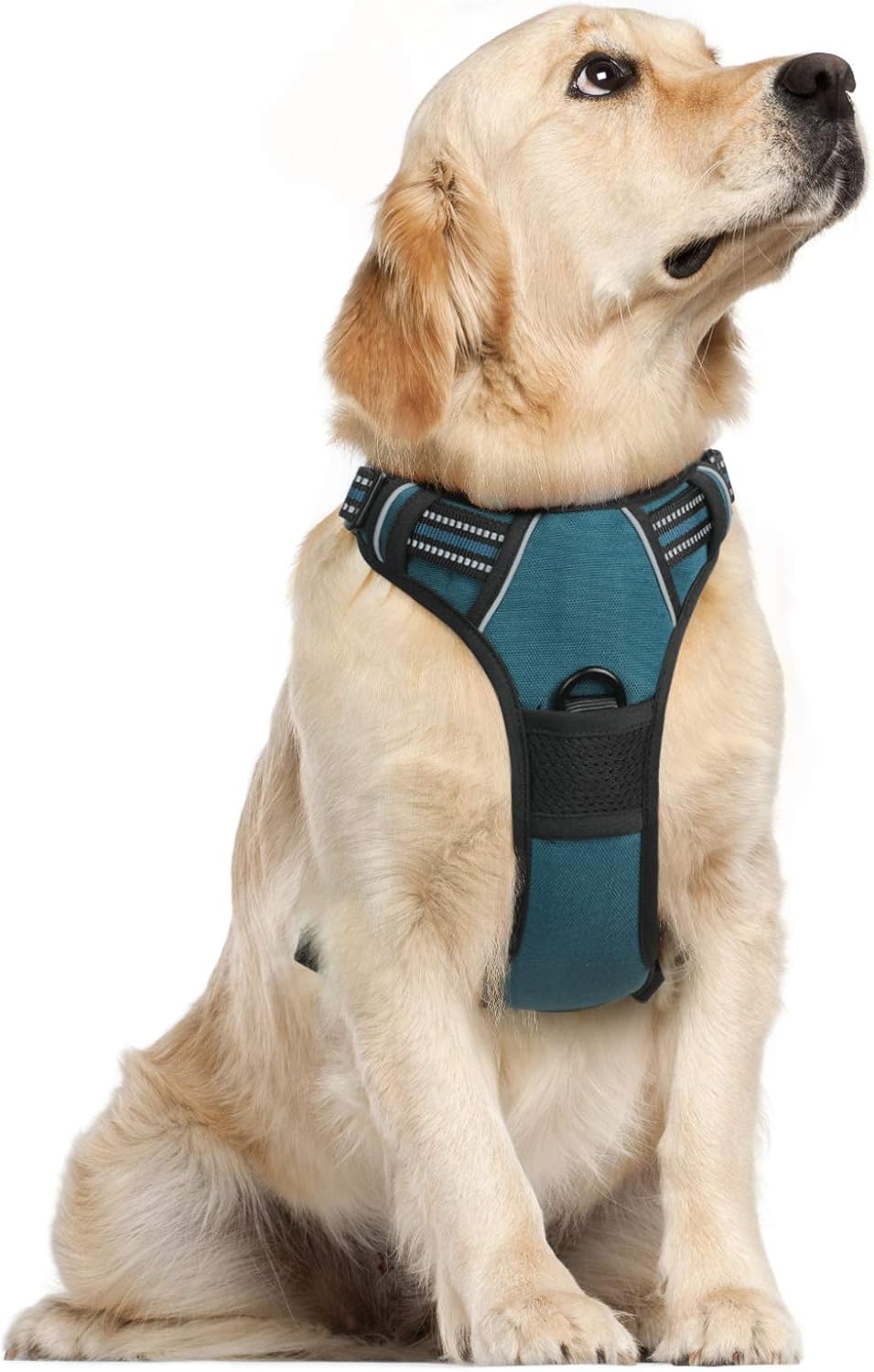 rabbitgoo Dog Harness Large Dog No Pull Pet Harness with 2 Leash Clips, Adjustable Soft Padded Pet Vest, Reflective No-Choke with Easy Control Handle for Training or Walking, Red, L - Comfort Style