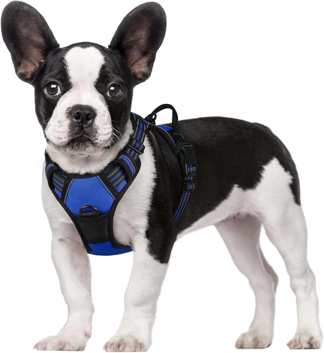 rabbitgoo Dog Harness Large Dog No Pull Pet Harness with 2 Leash Clips, Adjustable Soft Padded Pet Vest, Reflective No-Choke with Easy Control Handle for Training or Walking, Red, L - Comfort Style