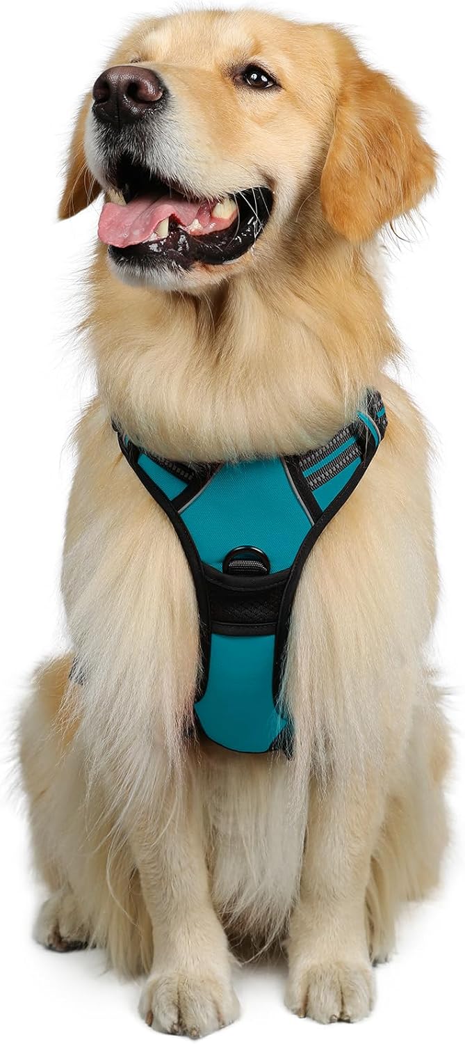 rabbitgoo Dog Harness Large Dog No Pull Pet Harness with 2 Leash Clips, Adjustable Soft Padded Pet Vest, Reflective No-Choke with Easy Control Handle for Training or Walking, Red, L - Comfort Style