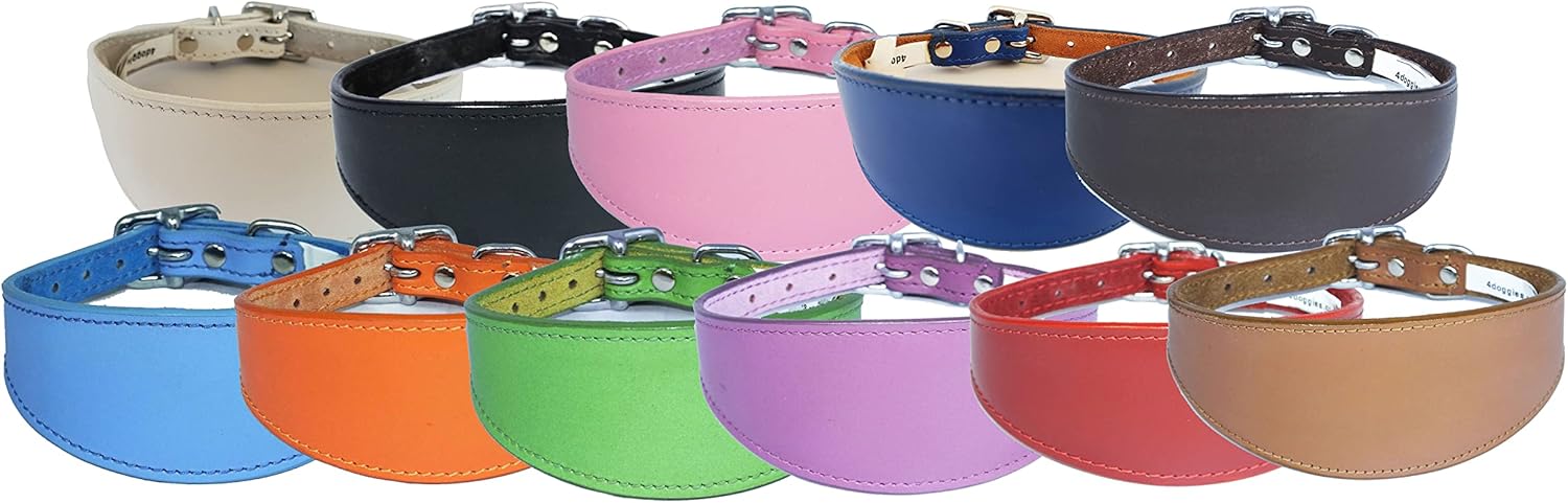4doggies Whippet Leather Collar Suede Padded Backing to fit 11 - 13 Inch Neck 27-33 cm (Dark Blue)