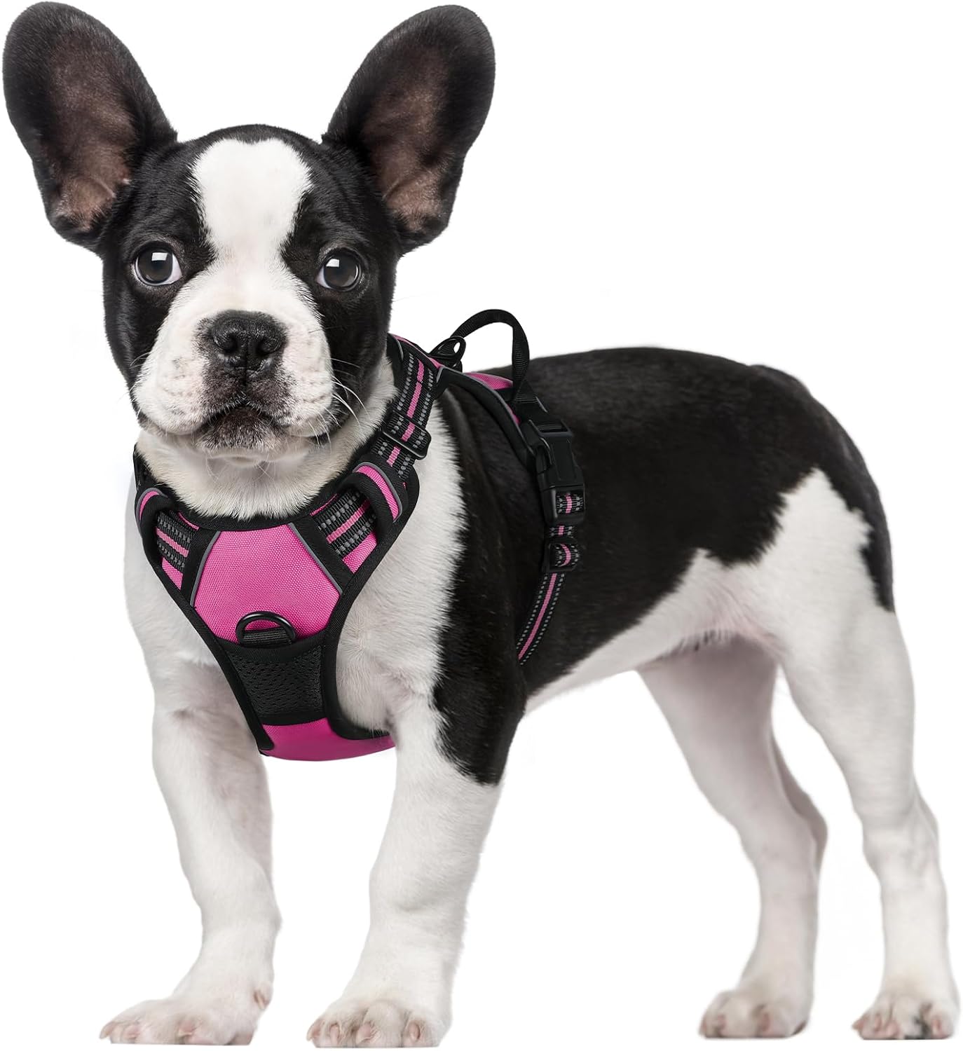 rabbitgoo Dog Harness Large Dog No Pull Pet Harness with 2 Leash Clips, Adjustable Soft Padded Pet Vest, Reflective No-Choke with Easy Control Handle for Training or Walking, Red, L - Comfort Style