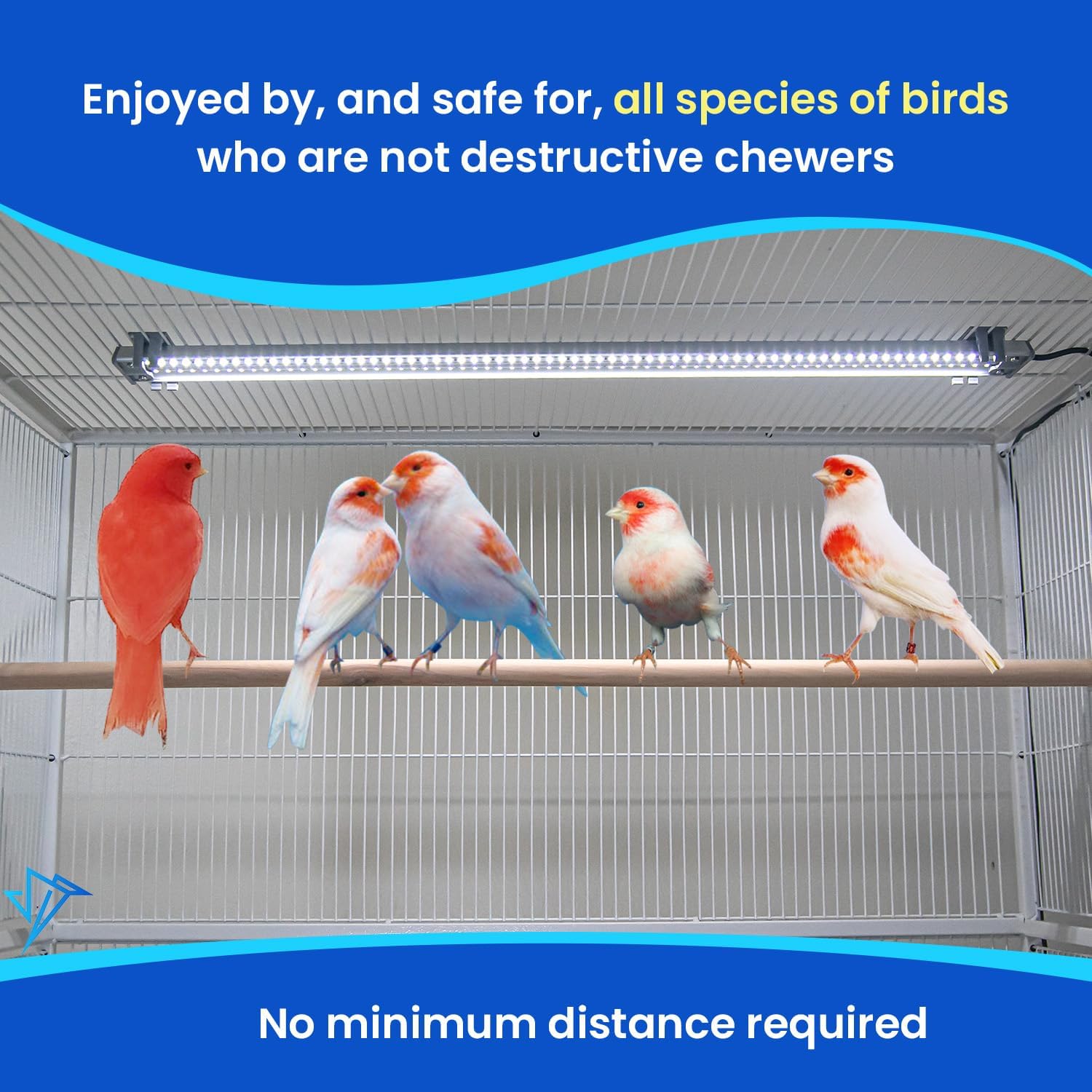 HappyBird Lighting Company - Bird Cage Light for Songbirds - Full Spectrum LED Pet Lamp - Simulates Natural Environment (46 cm Songbird Light) - Comfort Style