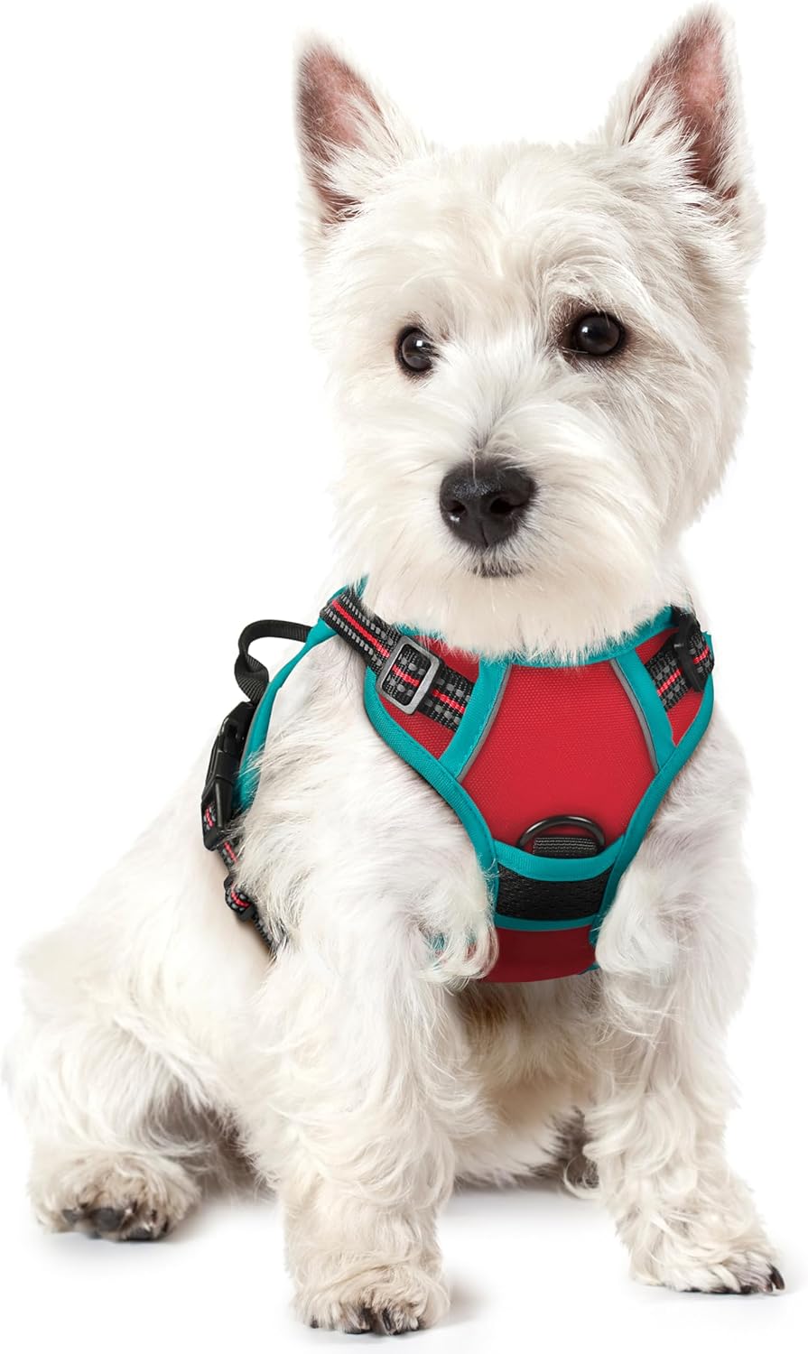 rabbitgoo Dog Harness Large Dog No Pull Pet Harness with 2 Leash Clips, Adjustable Soft Padded Pet Vest, Reflective No-Choke with Easy Control Handle for Training or Walking, Red, L - Comfort Style