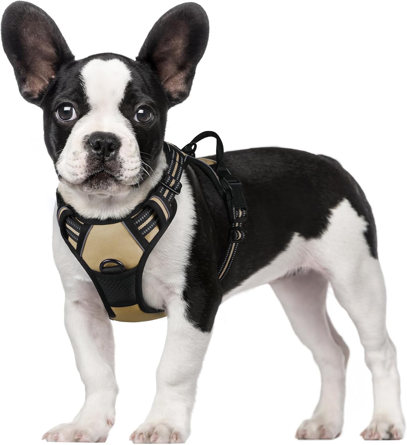 rabbitgoo Dog Harness Large Dog No Pull Pet Harness with 2 Leash Clips, Adjustable Soft Padded Pet Vest, Reflective No-Choke with Easy Control Handle for Training or Walking, Red, L - Comfort Style