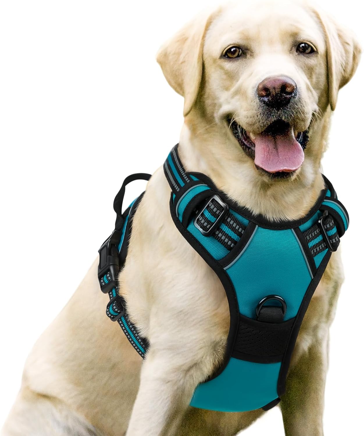 rabbitgoo Dog Harness Large Dog No Pull Pet Harness with 2 Leash Clips, Adjustable Soft Padded Pet Vest, Reflective No-Choke with Easy Control Handle for Training or Walking, Red, L - Comfort Style