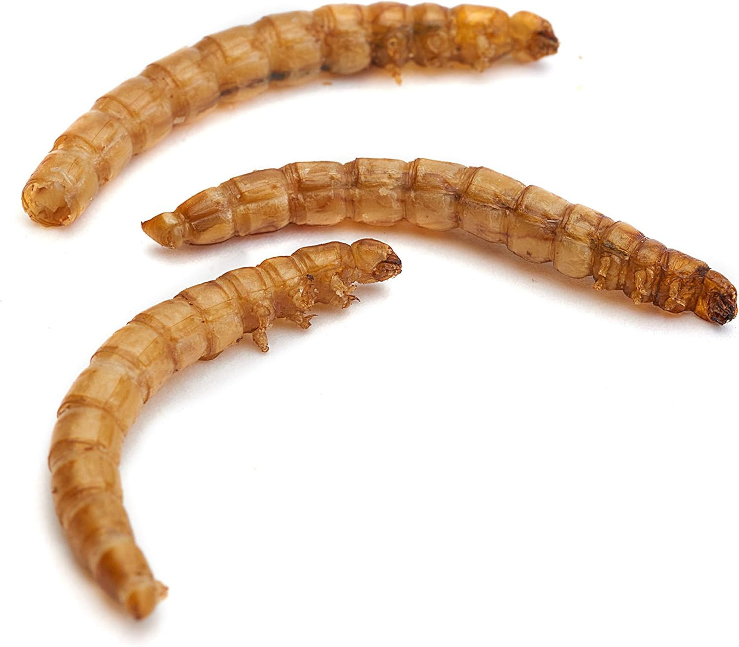 Premium Dried Mealworms, 5L Bag - Comfort Style