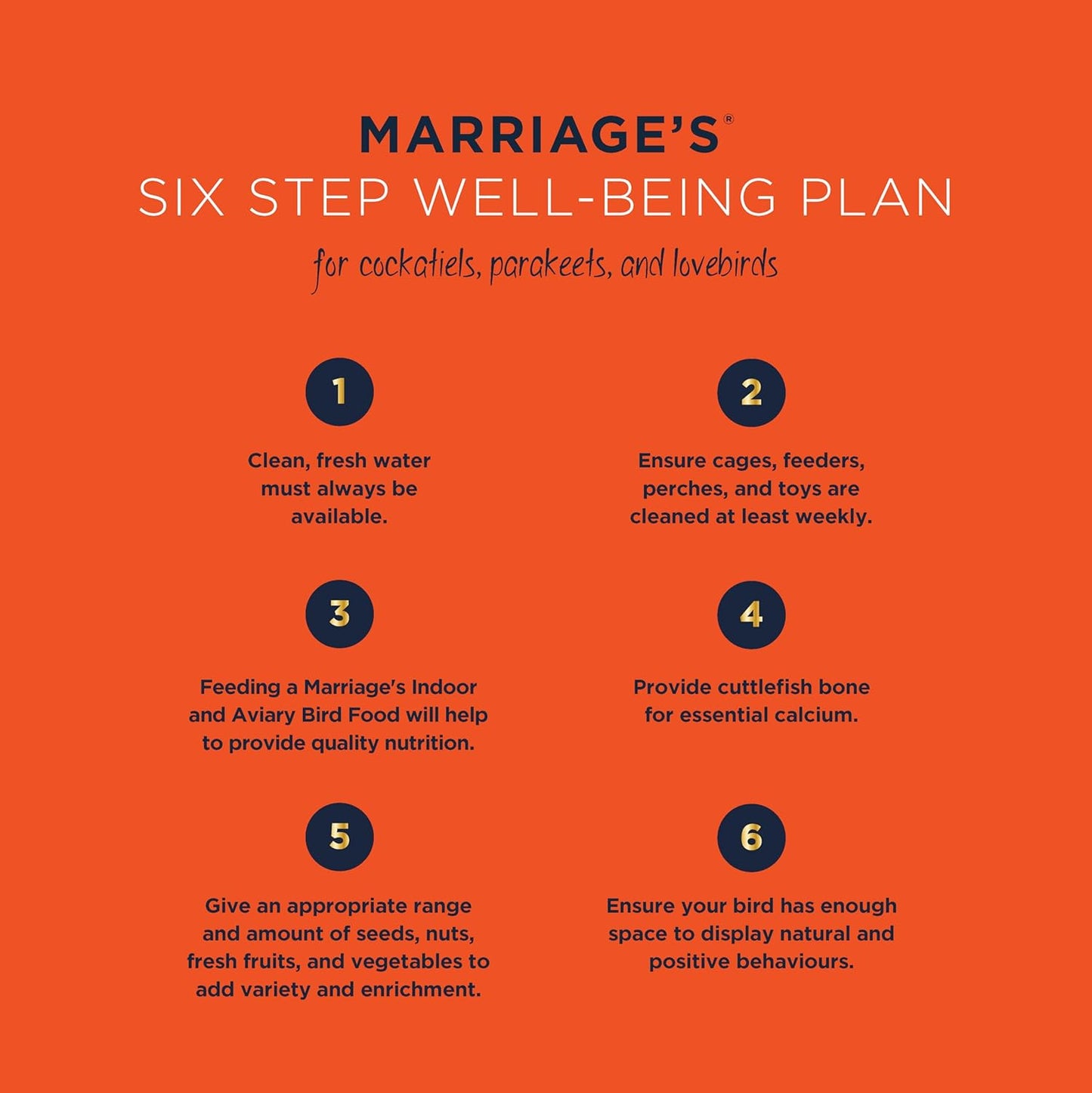 Marriages - Lovebird Food, Cockatiel Seed Mix, Parakeet Bird Seed with Oats, Nyjer Seed and Millet, Wholesome, Packed with Fibre and Protein (3kg)