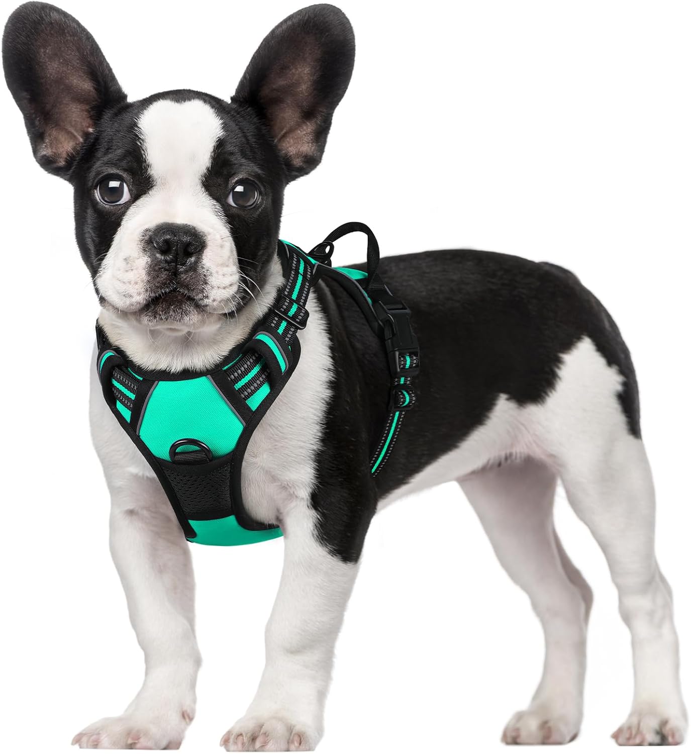 rabbitgoo Dog Harness Large Dog No Pull Pet Harness with 2 Leash Clips, Adjustable Soft Padded Pet Vest, Reflective No-Choke with Easy Control Handle for Training or Walking, Red, L - Comfort Style