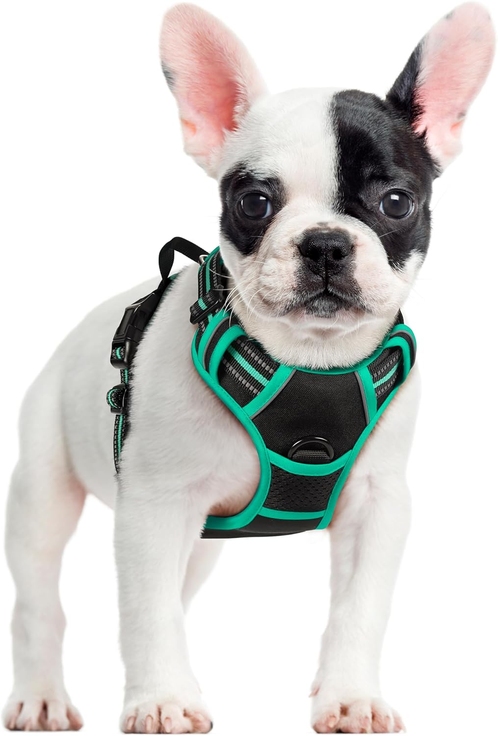 rabbitgoo Dog Harness Large Dog No Pull Pet Harness with 2 Leash Clips, Adjustable Soft Padded Pet Vest, Reflective No-Choke with Easy Control Handle for Training or Walking, Red, L - Comfort Style