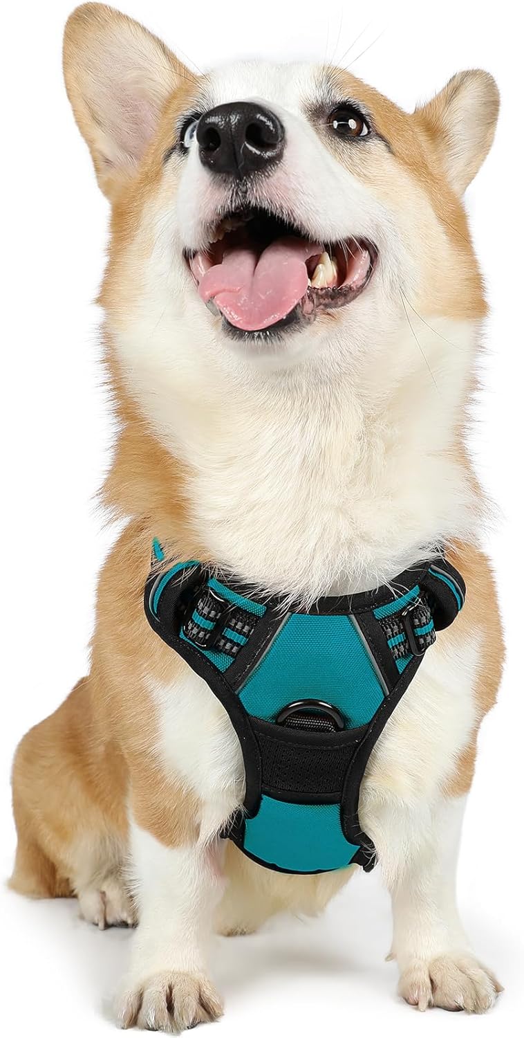 rabbitgoo Dog Harness Large Dog No Pull Pet Harness with 2 Leash Clips, Adjustable Soft Padded Pet Vest, Reflective No-Choke with Easy Control Handle for Training or Walking, Red, L - Comfort Style